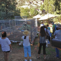 Sheet-Composting