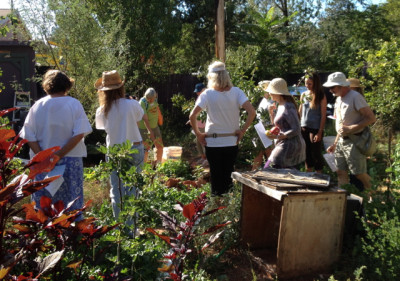 Water wise gardening