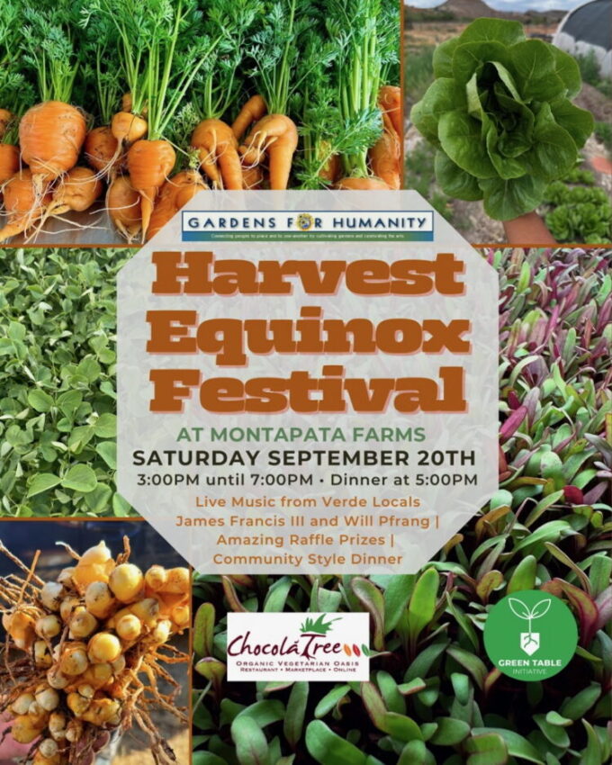 reHarvest+equinox+festival+IG+size+